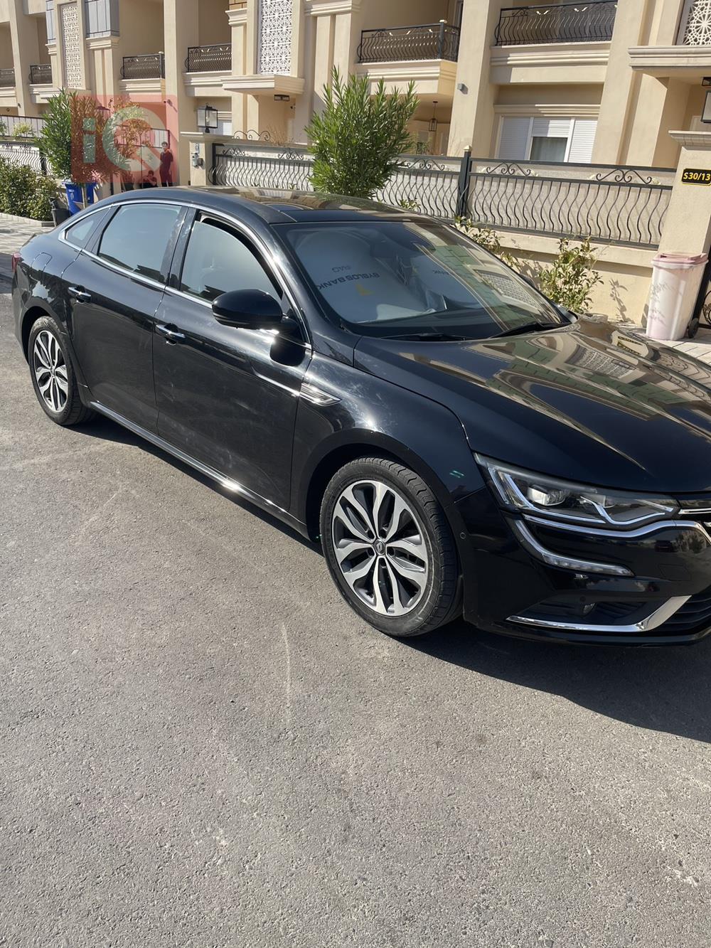 رينو تلسمان